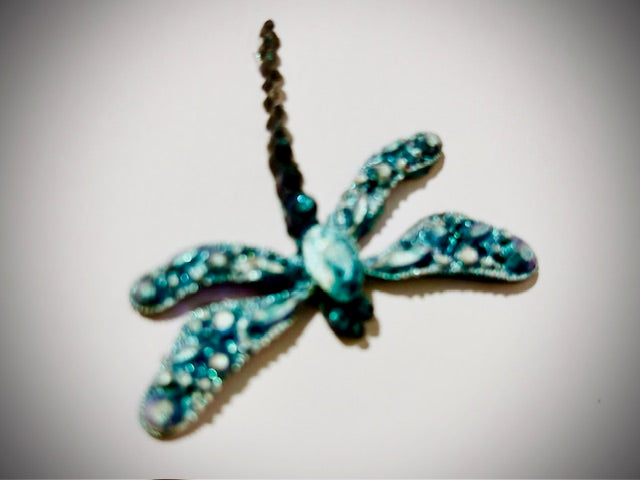 Dragonfly art&crafts